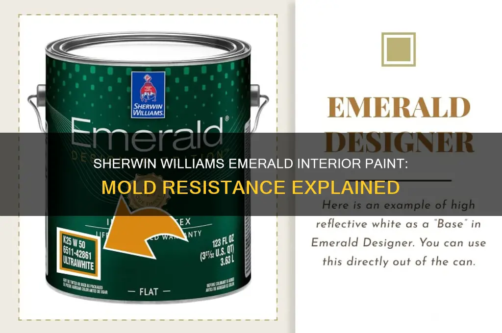 is sherwin williams interior emerald mold resistant paint