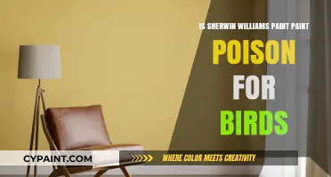 Is Sherwin Williams Paint Toxic to Birds? Safety Concerns Explained