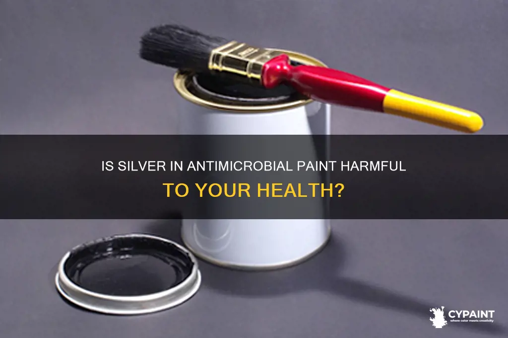 is silver in antimocrobial paint bad for you
