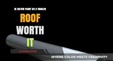 Silver Paint on Trailer Roof: Worth the Effort?