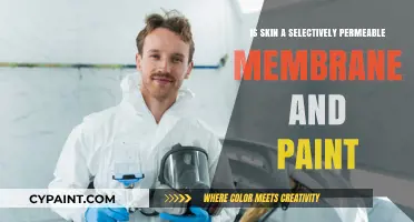 Skin's Selective Permeability: Membrane Function and Paint Interaction Explained