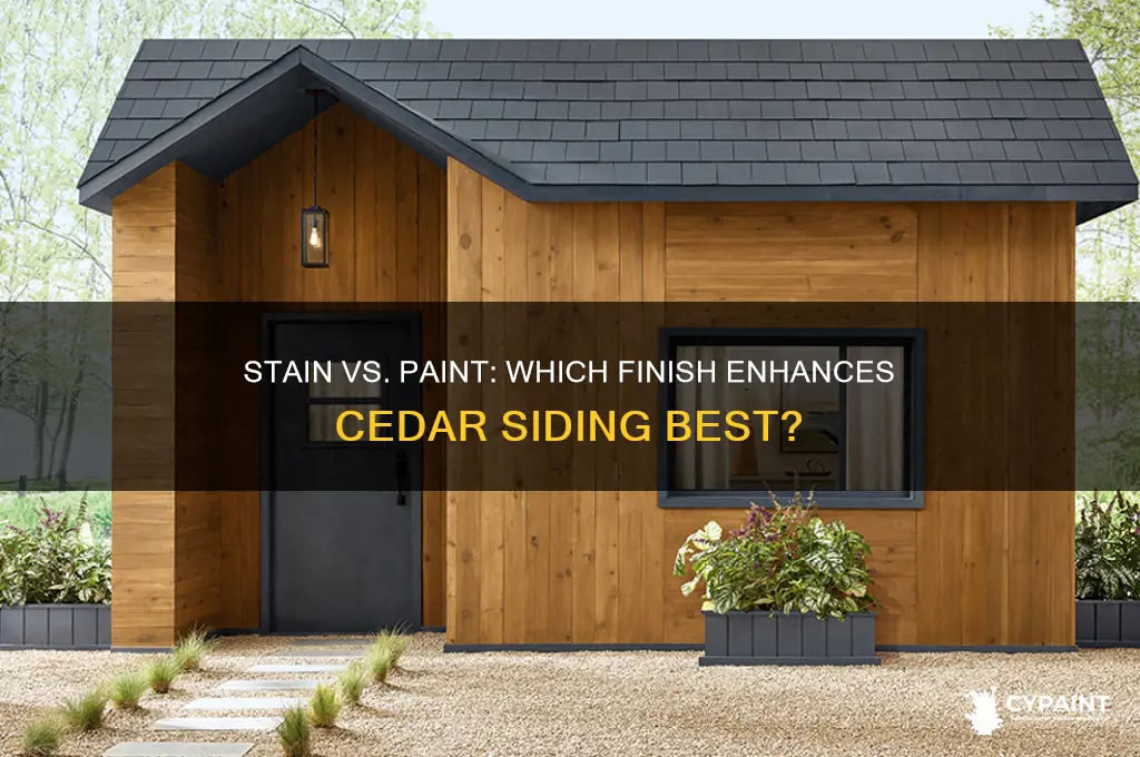 is stain or paint better for cedar siding