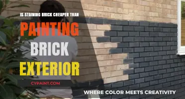 Staining vs. Painting Brick: Which Exterior Option Saves You Money?