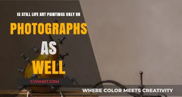 Exploring the Boundaries: Still Life in Paintings and Photographs