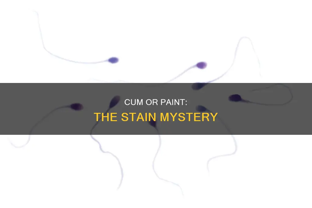 is that a cum staim or a paint stain