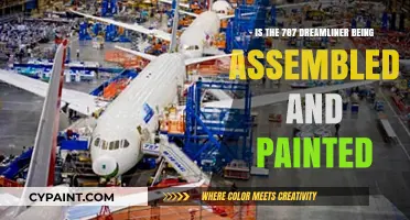 Assembling and Painting the 787 Dreamliner: A Detailed Look