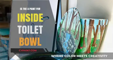 Best Paint Options for Inside Toilet Bowls: A Complete Guide