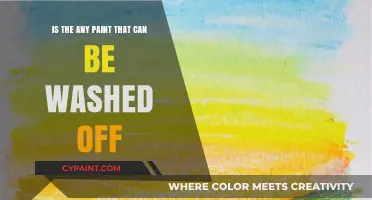 Washable Paint: A Creative, Mess-Free Solution