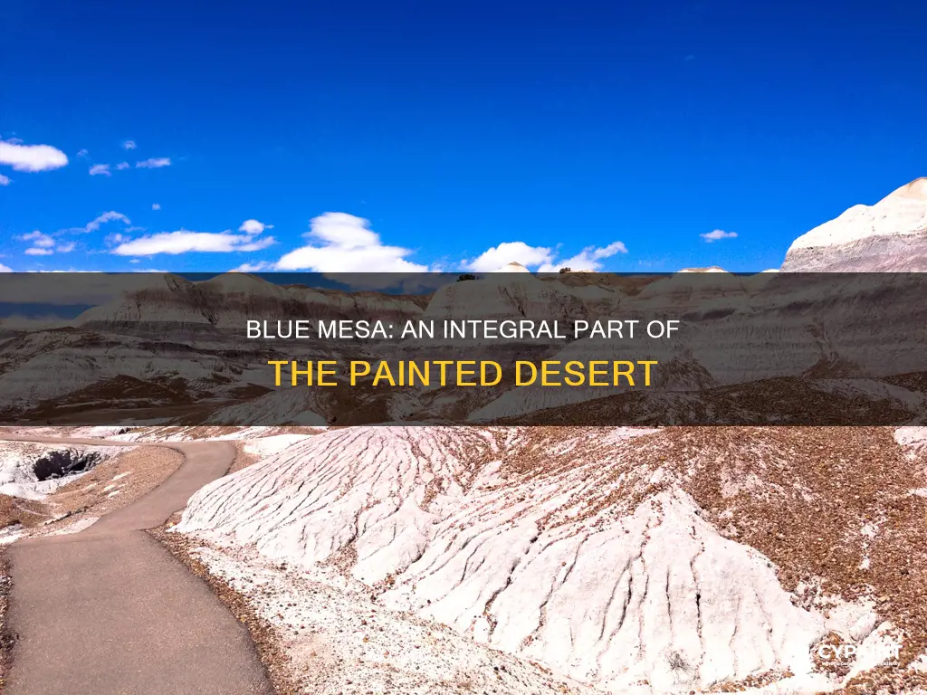 is the blue mesa part of the painted desert