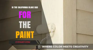 California Blade: Does It Damage Your Car's Paint? Find Out