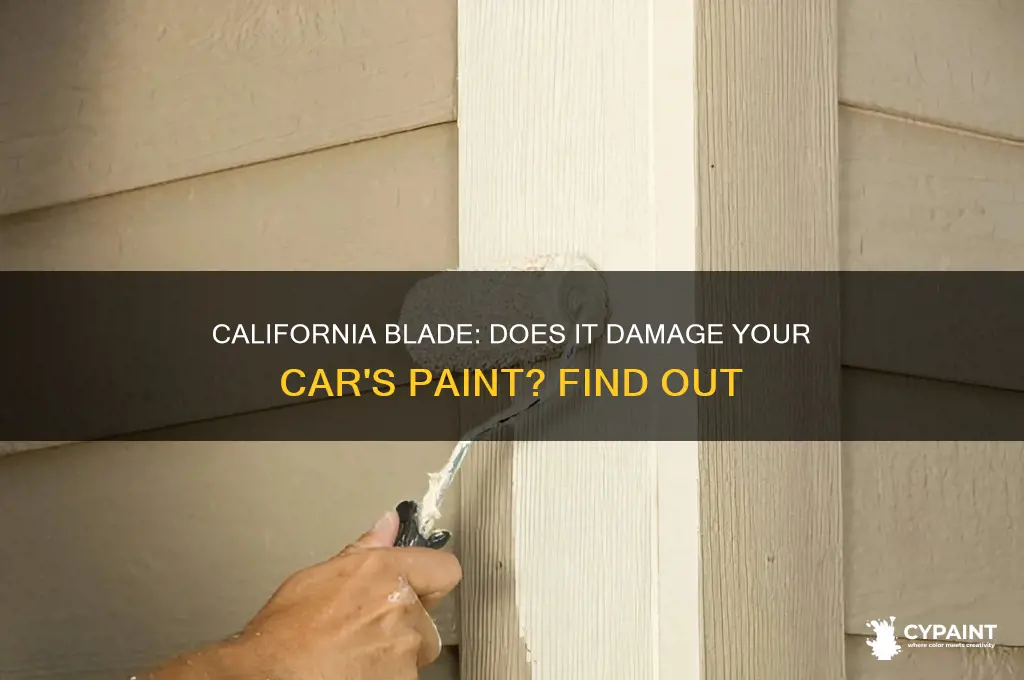 is the california blade bad for the paint