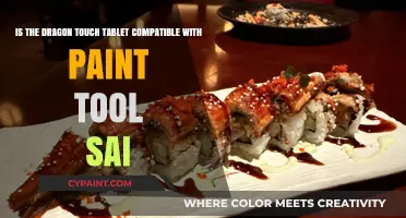 Exploring Compatibility: Dragon Touch Tablet and Paint Tool SAI