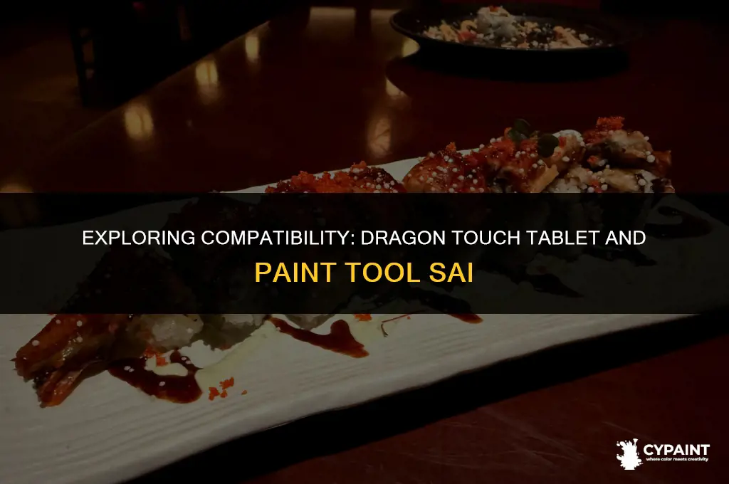 is the dragon touch tablet compatible with paint tool sai