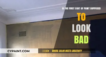 Unveiling the Truth: Is Your First Paint Coat Meant to Be Flawed?