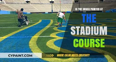 Is Stadium Course Grass Painted? Uncovering the Green Truth