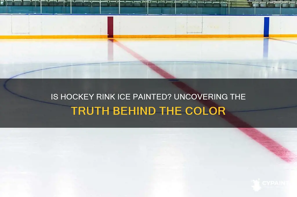 is the ice painted on a hockey rink