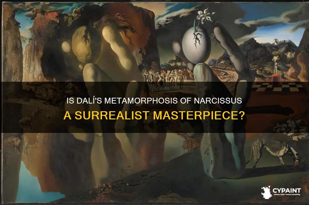 is the metamorphosis of narcissus a surrealist painting