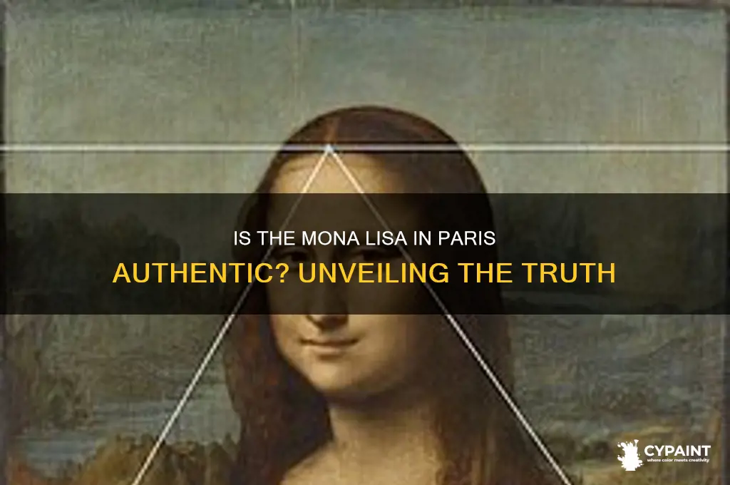 is the mona lisa painting in paris real