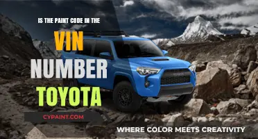 Paint Code in the VIN: Toyota's Secret Color Code