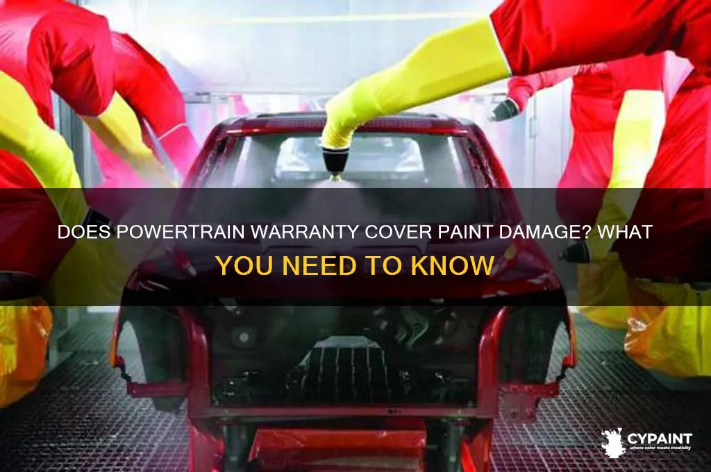 What Does A Drivetrain Warranty Cover