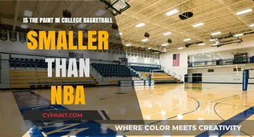 College Basketball Paint: Smaller Than NBA?
