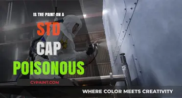 Is Standard Cap Paint Toxic? Uncovering Potential Health Risks