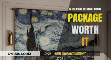 Paint the Night Dining: Worth the Splurge?