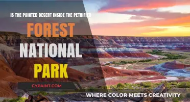 Exploring the Painted Desert: A Hidden Gem Within Petrified Forest National Park