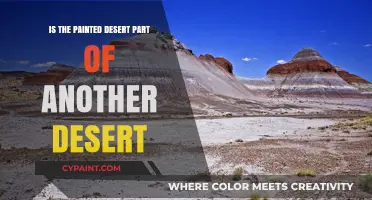 Is the Painted Desert Connected to Another Desert? Exploring the Facts