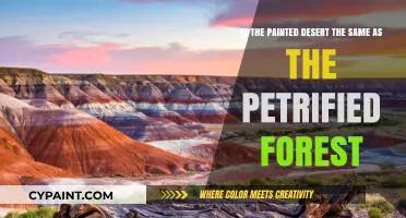 Exploring the Unique Wonders: Painted Desert vs Petrified Forest