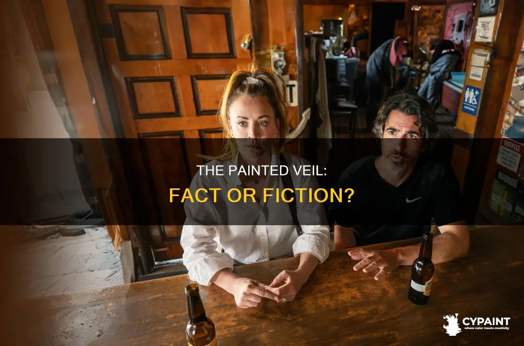 is the painted veil based on a true story