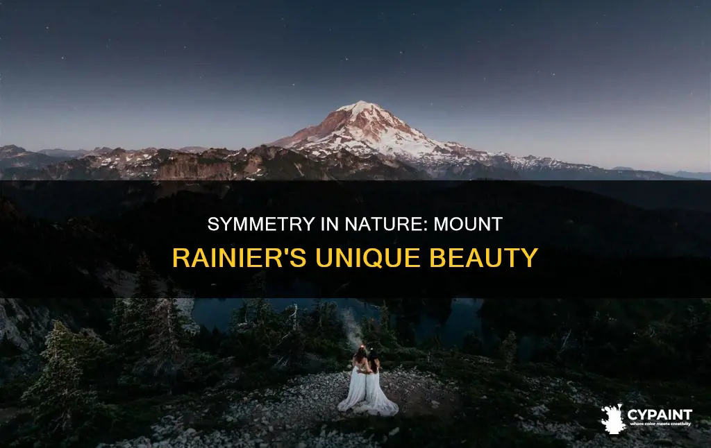 is the painting of mount rainier symmetrical or asymmetrical