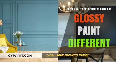 Exploring the Difference in Quality Between Flat and Glossy Paints