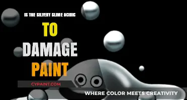 Silvery Slime and Paint: Uncovering Its Acidity and Potential Damage