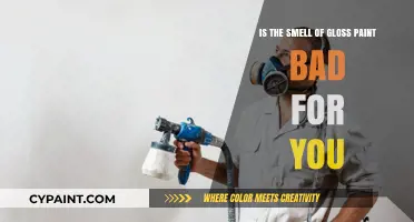 Gloss Paint Smell: Is It Harmful?