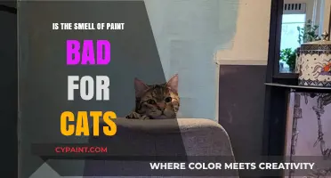 Is Paint Smell Harmful to Cats? What Pet Owners Should Know