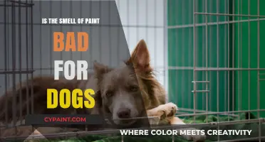 Is Paint Smell Harmful to Dogs? What Pet Owners Should Know