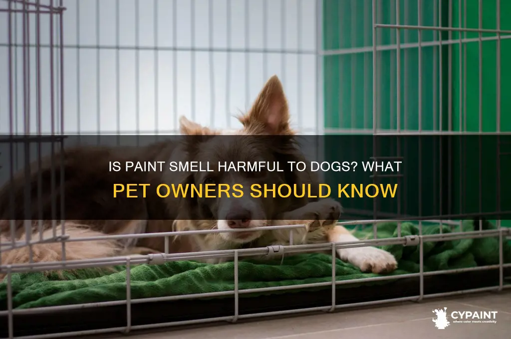 is the smell of paint bad for dogs