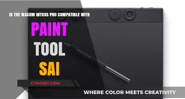 Exploring Wacom Intuos Pro Compatibility with Paint Tool SAI