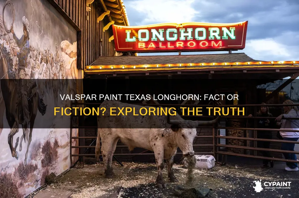 is their a valspar paint called texas longhorn