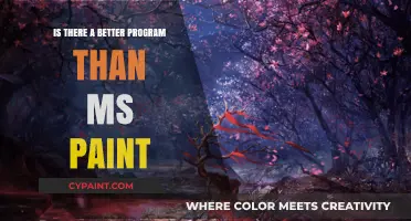 Beyond MS Paint: Discovering Superior Art and Design Software
