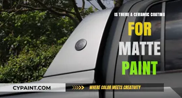 Ceramic Coating for Matte Paint: Protection Without the Shine?