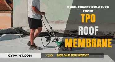 Preparation Essentials: Cleaning Your TPO Roof Before Painting
