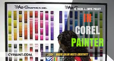 Exploring Corel Painter: Does It Include a CMYK Palette?