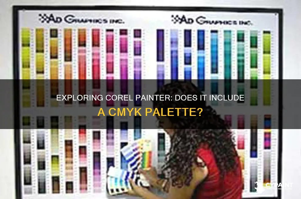is there a cmyk pallet in corel painter