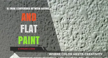 Eggshell vs. Flat Paint: What's the Real Difference?