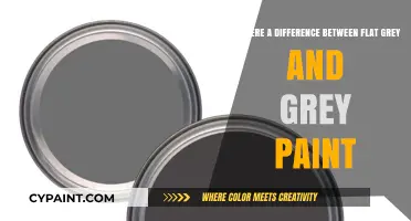 Exploring the Nuances: Flat Grey vs. Grey Paint