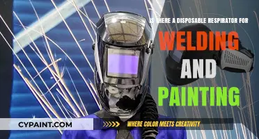 Best Disposable Respirators for Welding and Painting