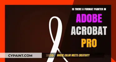 Format Painter in Adobe Acrobat Pro: Where is it?