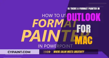 How to Find Format Painter in Outlook for Mac